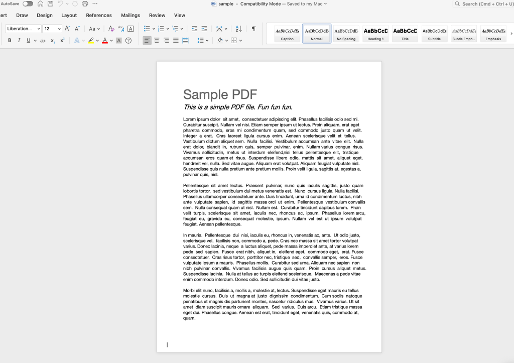 DOCX result after PDF to Word conversion